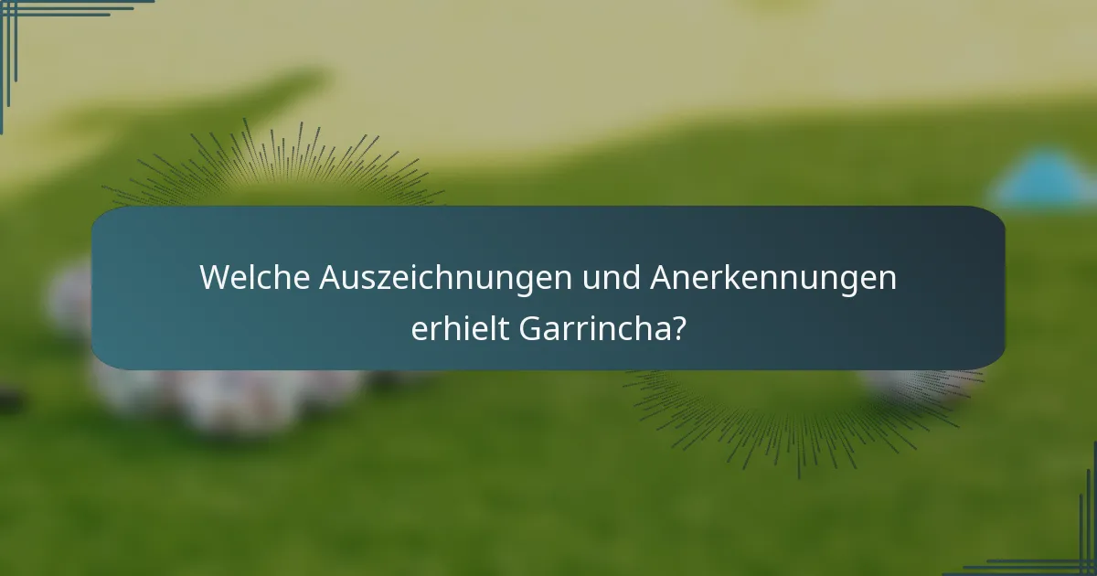 Welche Auszeichnungen und Anerkennungen erhielt Garrincha?