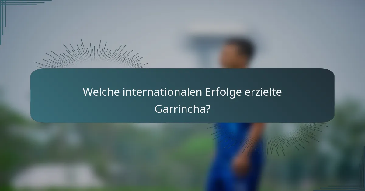 Welche internationalen Erfolge erzielte Garrincha?