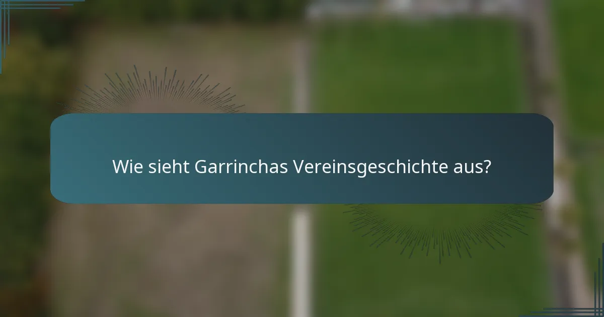 Wie sieht Garrinchas Vereinsgeschichte aus?